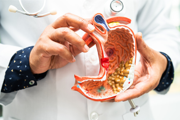 Improve Digestion System